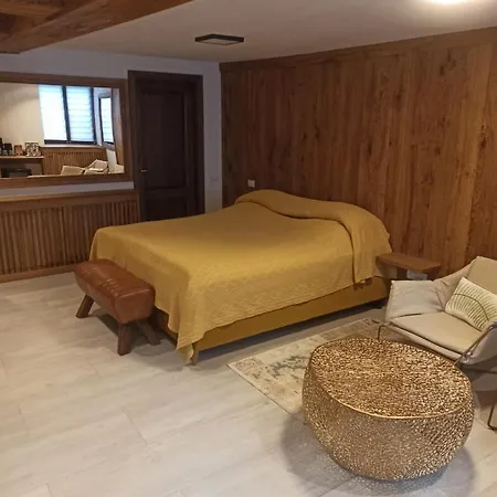 Pensiunea Casa Cranta Brasov
