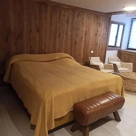 Guest house Pensiunea Casa Cranta Brasov