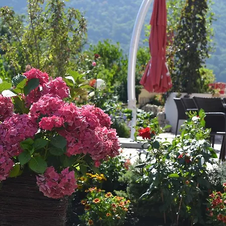 Pensiunea Casa Cranta Guest house