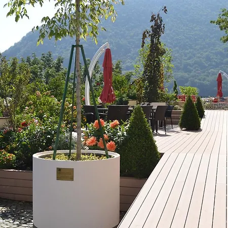 Guest house Pensiunea Casa Cranta 3*