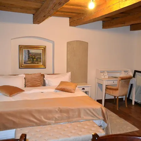 Guest house Pensiunea Casa Cranta